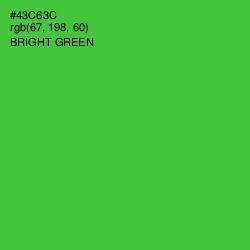 #43C63C - Bright Green Color Image