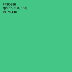 #43C686 - De York Color Image