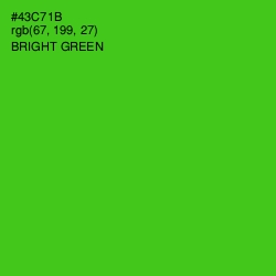 #43C71B - Bright Green Color Image