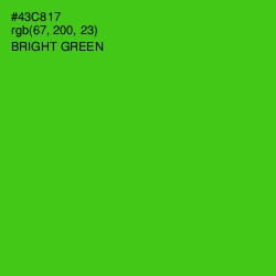 #43C817 - Bright Green Color Image