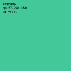 #43C899 - De York Color Image