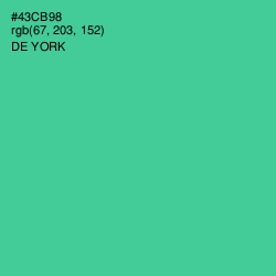 #43CB98 - De York Color Image