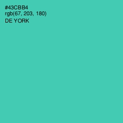 #43CBB4 - De York Color Image