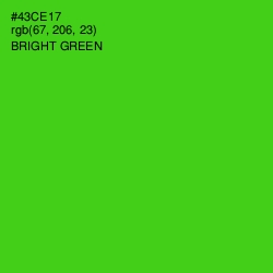 #43CE17 - Bright Green Color Image