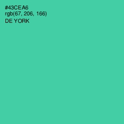 #43CEA6 - De York Color Image