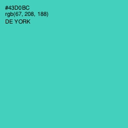 #43D0BC - De York Color Image