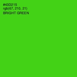 #43D215 - Bright Green Color Image