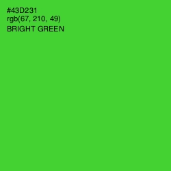 #43D231 - Bright Green Color Image