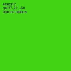 #43D317 - Bright Green Color Image