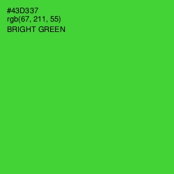 #43D337 - Bright Green Color Image