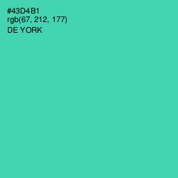 #43D4B1 - De York Color Image