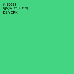 #43D581 - De York Color Image