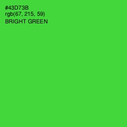 #43D73B - Bright Green Color Image