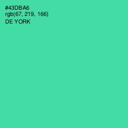 #43DBA6 - De York Color Image