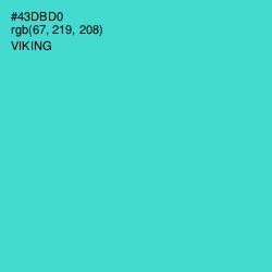 #43DBD0 - Viking Color Image