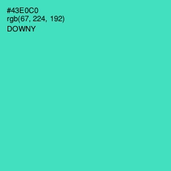 #43E0C0 - Downy Color Image