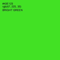 #43E123 - Bright Green Color Image