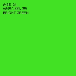 #43E124 - Bright Green Color Image