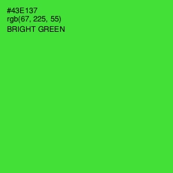 #43E137 - Bright Green Color Image