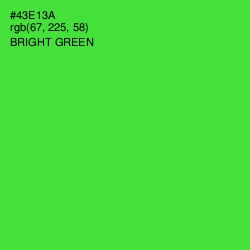 #43E13A - Bright Green Color Image