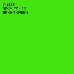 #43E211 - Bright Green Color Image
