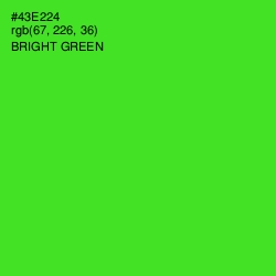 #43E224 - Bright Green Color Image