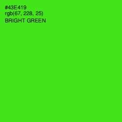 #43E419 - Bright Green Color Image