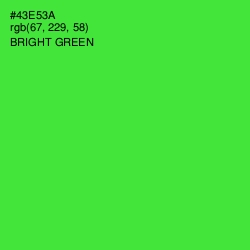 #43E53A - Bright Green Color Image
