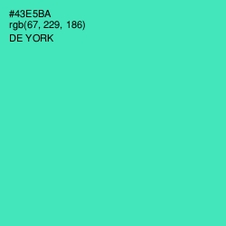 #43E5BA - De York Color Image