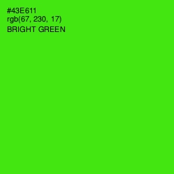 #43E611 - Bright Green Color Image