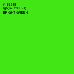 #43E615 - Bright Green Color Image