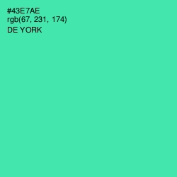 #43E7AE - De York Color Image