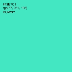#43E7C1 - Downy Color Image