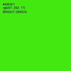 #43E811 - Bright Green Color Image