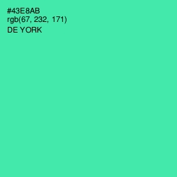 #43E8AB - De York Color Image