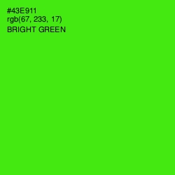#43E911 - Bright Green Color Image