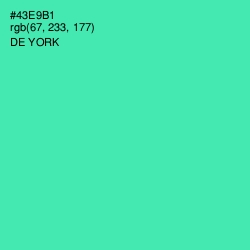 #43E9B1 - De York Color Image