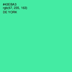 #43EBA3 - De York Color Image