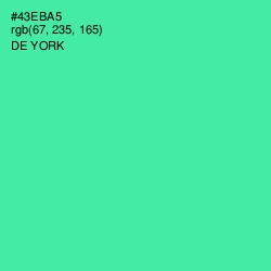 #43EBA5 - De York Color Image