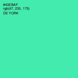 #43EBAF - De York Color Image