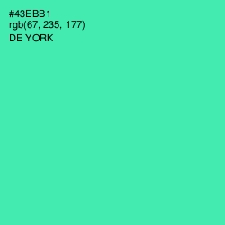 #43EBB1 - De York Color Image