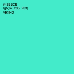 #43EBCB - Viking Color Image