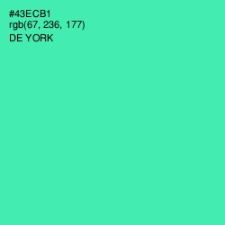 #43ECB1 - De York Color Image