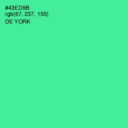 #43ED9B - De York Color Image