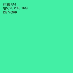 #43EFA4 - De York Color Image