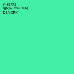 #43EFA6 - De York Color Image