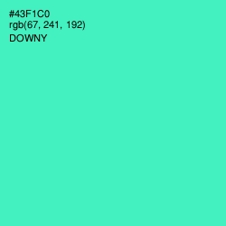 #43F1C0 - Downy Color Image