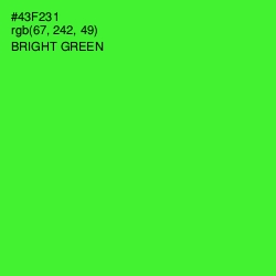 #43F231 - Bright Green Color Image
