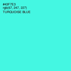 #43F7E3 - Turquoise Blue Color Image