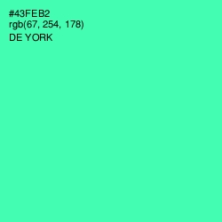 #43FEB2 - De York Color Image